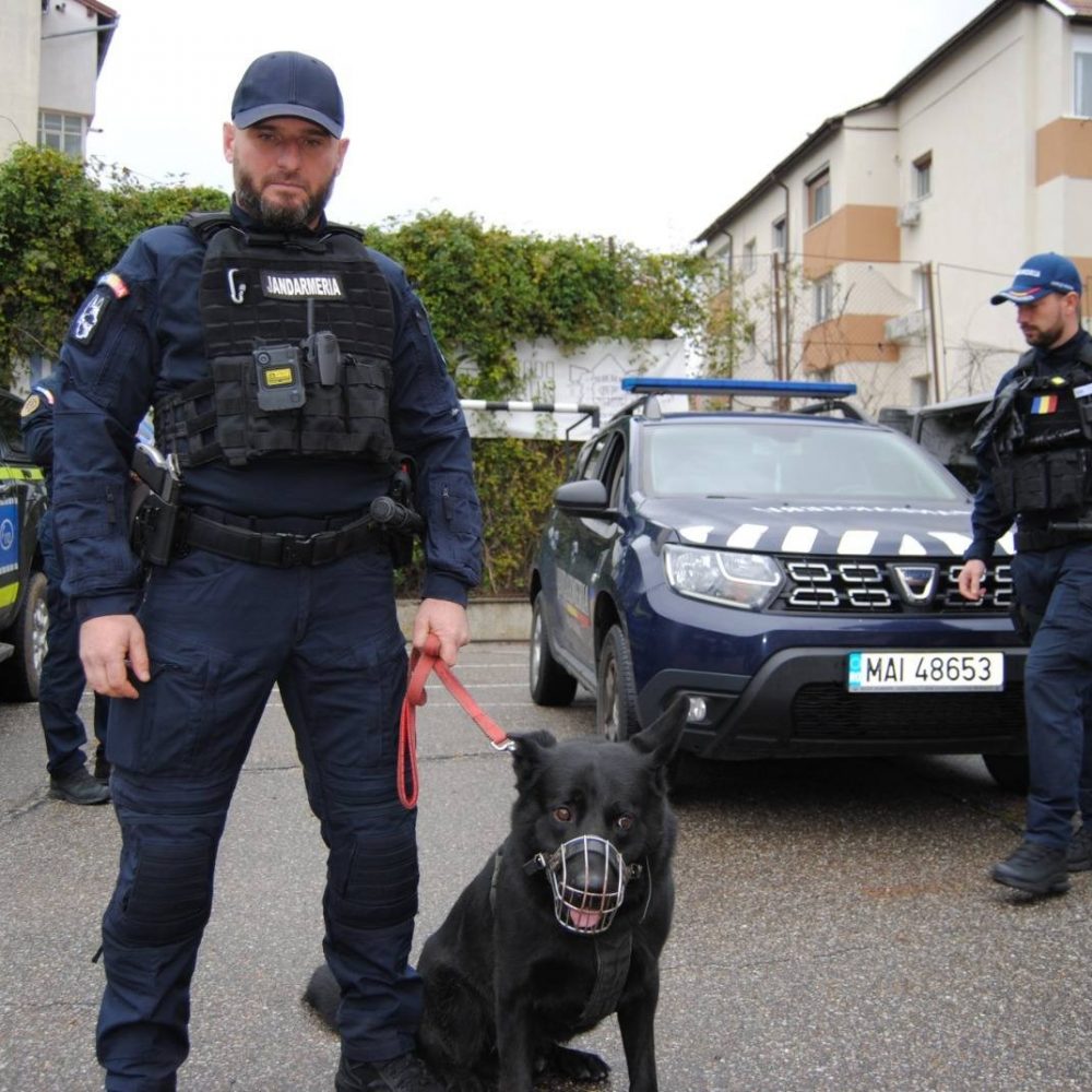 WhatsApp Image 2025-11-06 at 10.23.52