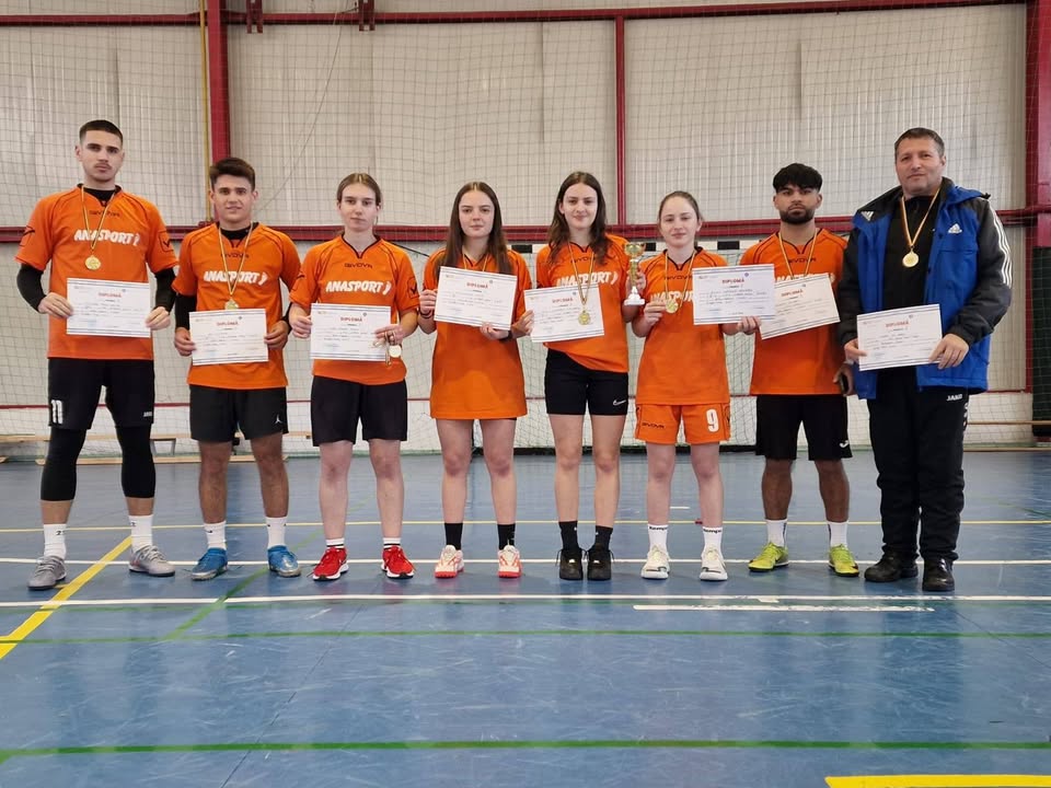 Liceul cu Program Sportiv "Avram Iancu" Zalau