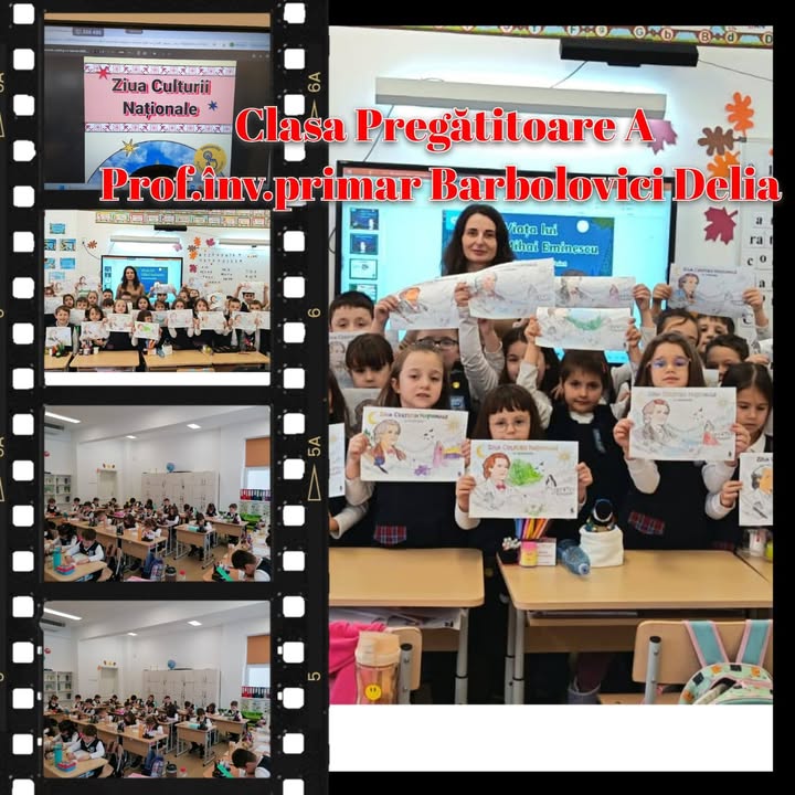 Liceul cu Program Sportiv "Avram Iancu" Zalau