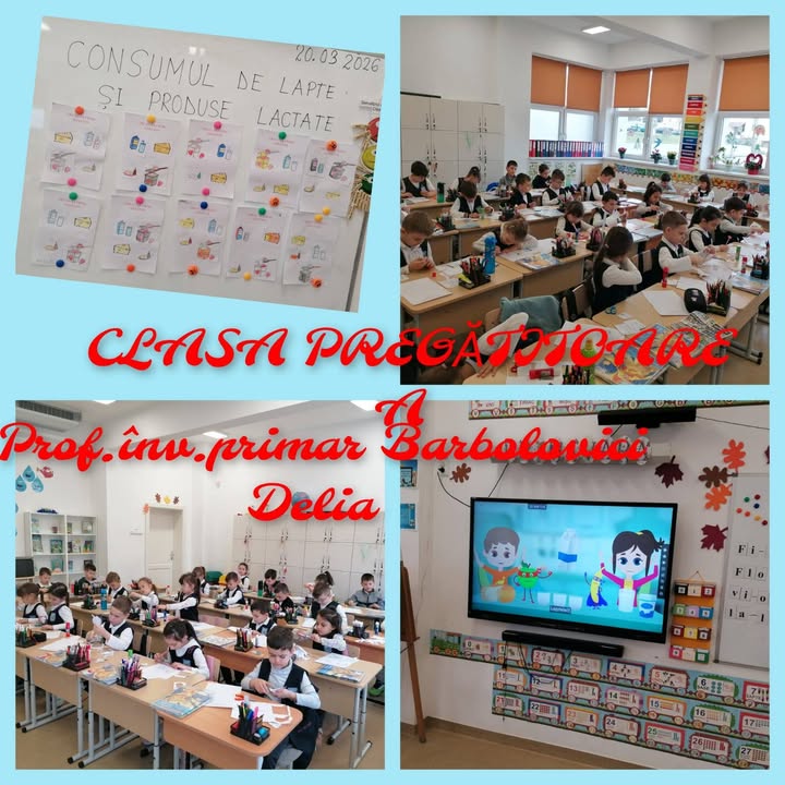 Liceul cu Program Sportiv "Avram Iancu" Zalau