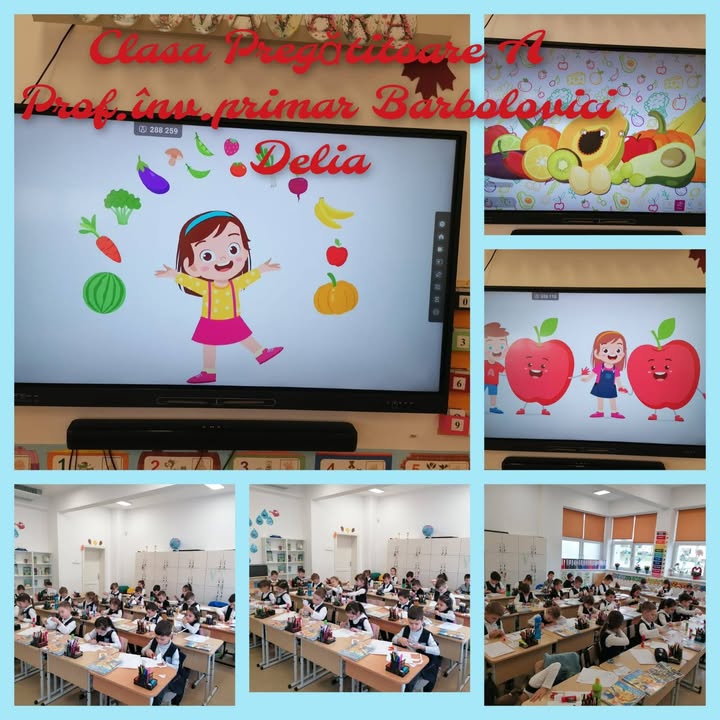 Liceul cu Program Sportiv "Avram Iancu" Zalau