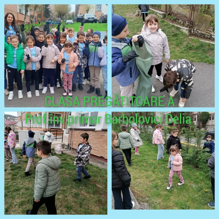 Liceul cu Program Sportiv "Avram Iancu" Zalau