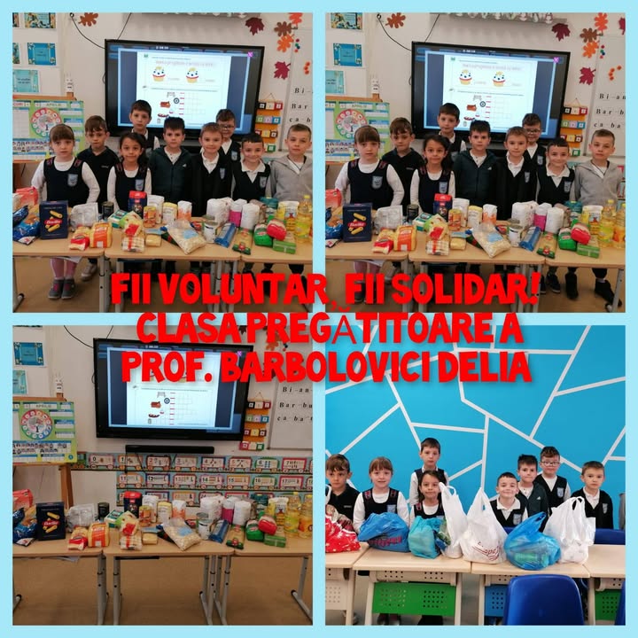 Liceul cu Program Sportiv "Avram Iancu" Zalau