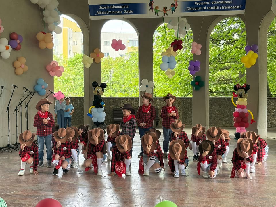 Liceul cu Program Sportiv "Avram Iancu" Zalau