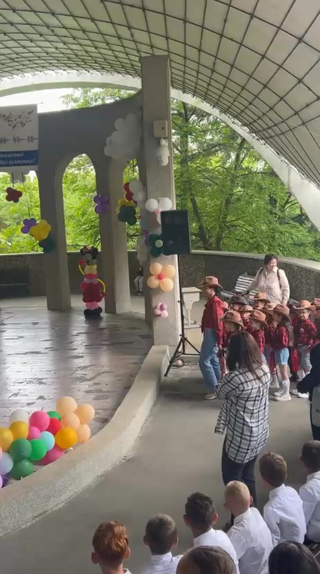 Liceul cu Program Sportiv "Avram Iancu" Zalau