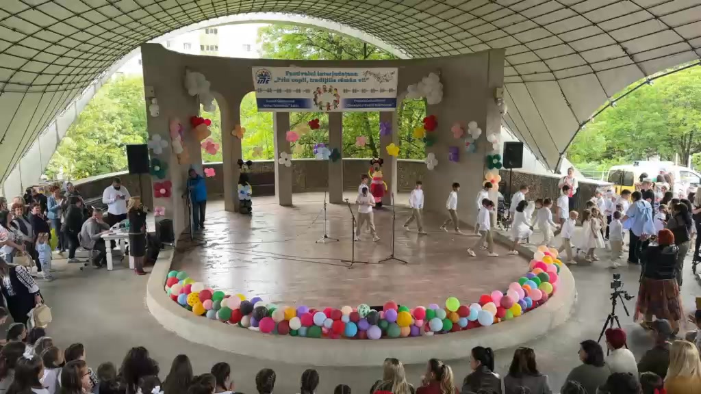 Liceul cu Program Sportiv "Avram Iancu" Zalau